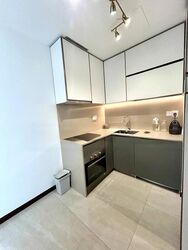 Normanton Park (D5), Apartment #467791161